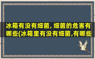 冰箱有没有细菌, 细菌的危害有哪些(冰箱里有没有细菌,有哪些细菌)